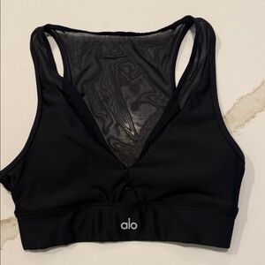ALO Yoga Sleek Black Mesh Sports Bra